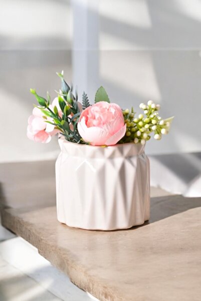 PICCOLA VITA Πακέτο με 2 βάζα για παχύφυτα | Διακοσμητικά βάζα με ξηρά λουλούδια