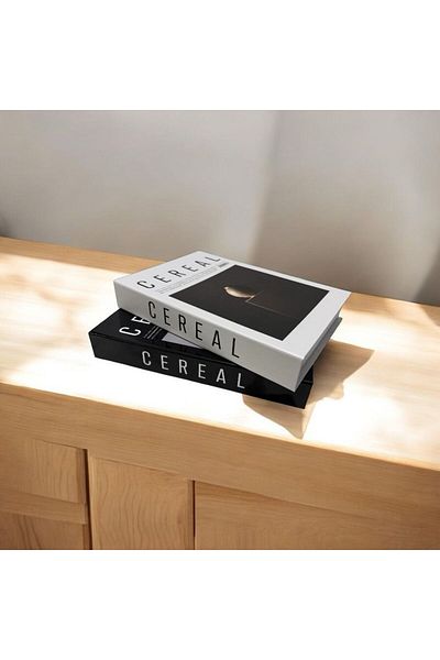 NariHome Decorative Book Box Set of 2