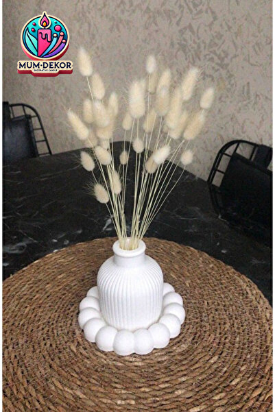 Bernami Bubble Plate and Pampas Vase Decorative Set