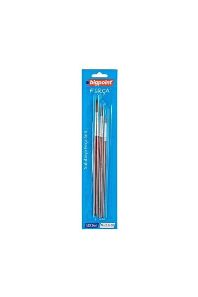 Bigpoint |   145 Series Round Brush Set, 3-Piece, No: 2, 6, 10, 100% Natural Pony Hair
