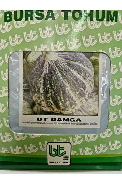 BT DAMGA KAVUN 10 GR