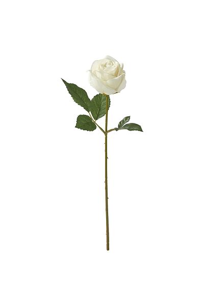 erorex Artificial flower, in/outdoor/Rose white, 40 cm