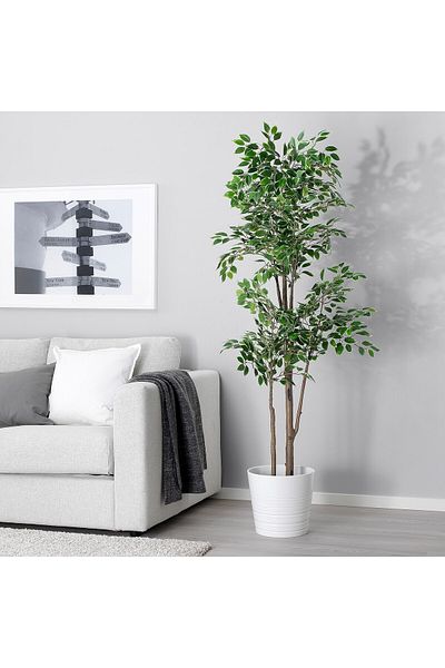 erorex Artificial potted plant, in/outdoor Weeping fig, 21 cm