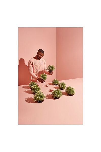erorex Artificial potted plant, thyme, 9 cm