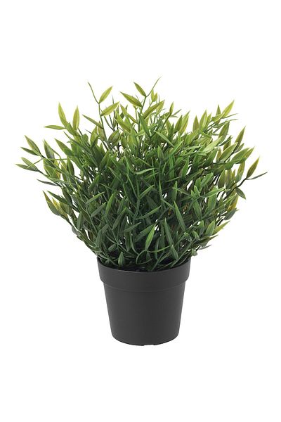 erorex Artificial potted plant, in/outdoor House bamboo, 9 cm