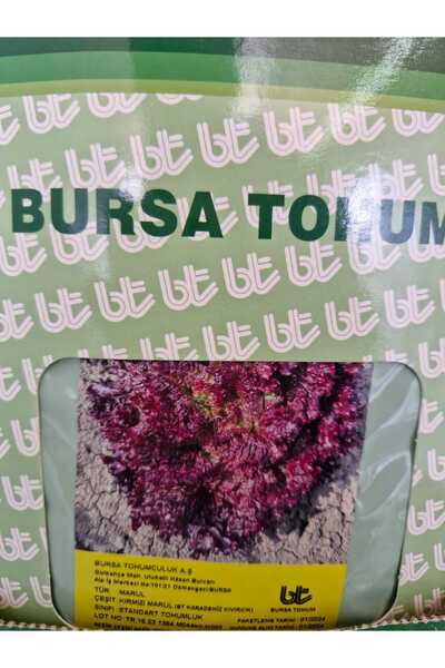 Bursa Tohumculuk BT KIRMIZI MARUL 25 GR
