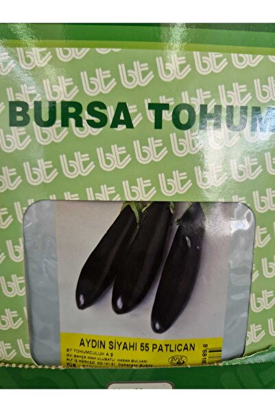 Bursa Tohumculuk AYDIN SİYAHI 55 PATLICAN TOHUMU 10GR