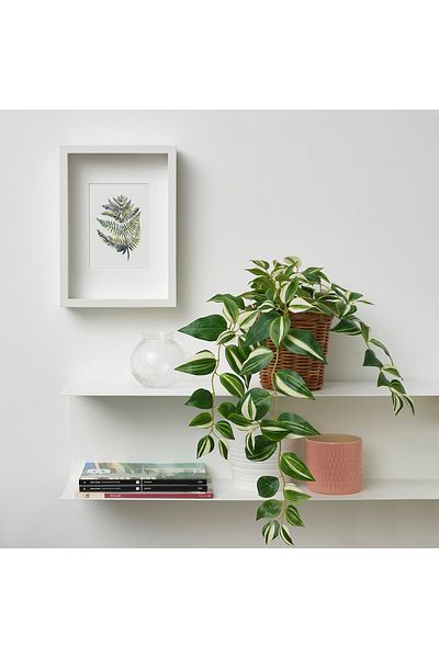 erorex Artificial potted plant, in/outdoor/tradescantia zebrina, 12 cm