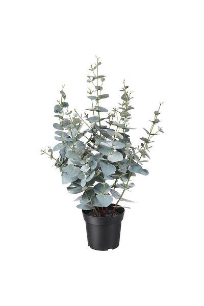 erorex Artificial potted plant, in/outdoor eucalyptus, 15 cm