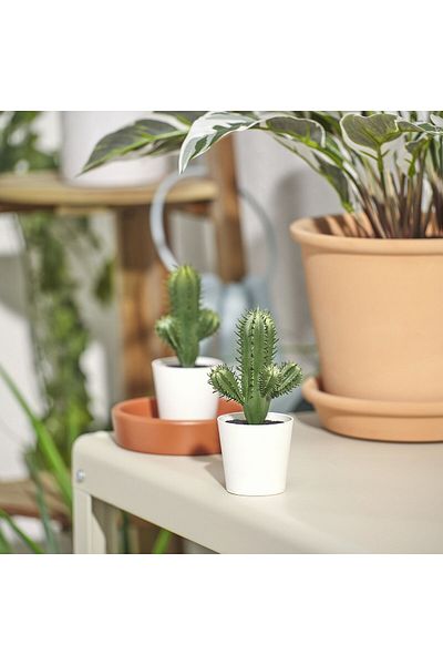 erorex Artificial potted plant, in/outdoor Cactus, 6 cm