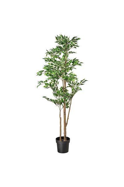 erorex Artificial potted plant, in/outdoor Weeping fig, 21 cm