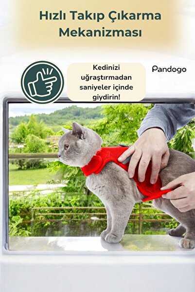 Pandogo Kedi Tasması Göğüs Gezdirme Tasması Uzun Sevk Kayışlı S Beden