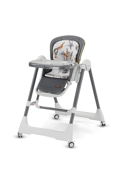 TEKNUM 5-IN-1 Swing with High Chair with Lockable wheels - Grey