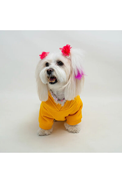 anonim Pangea Sarı Pika Baskılı Köpek Tişört