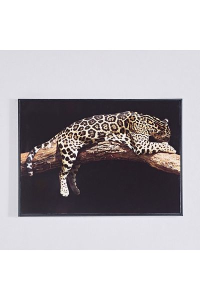 Home Box Ersel Leopard Framed Picture 50x70x2.5 cm