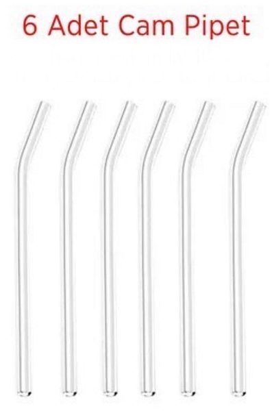 ÇEÇEN HOME (6 Pcs) Washable, Reusable Glass Straws