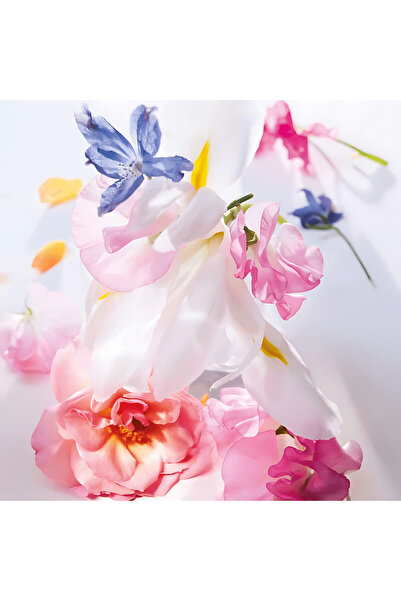 Dior Miss Dior Roller-Pearl Perfume by Dior EDP For Women 20 ml