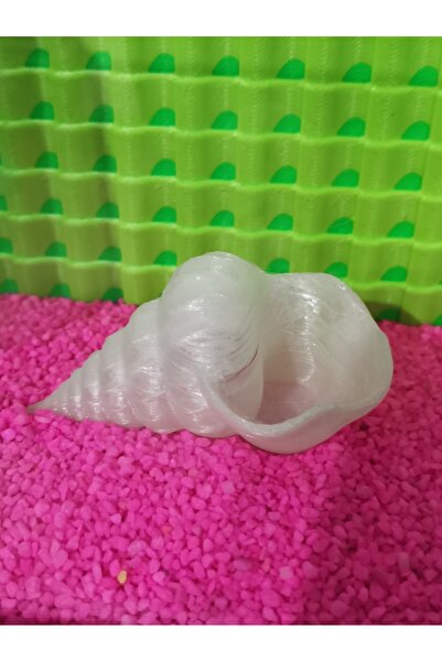 MDİZMİR Deniz Kabugui Akvaryum Dekoru × Fanus Süsü × Küçük Akvaryum ve Büyük ...