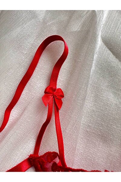 Tayse lingerie Underwire Brode Bra Set