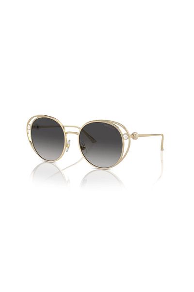 Jimmy Choo 0JC4003HB 30068G 53 Model Women's Sunglasses