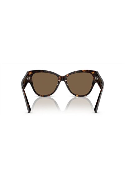 Dolce&Gabbana Dolce & Gabbana Woman Butterfly Sunglasses- Dg 4449 - Lense Size:54mm - Havana
