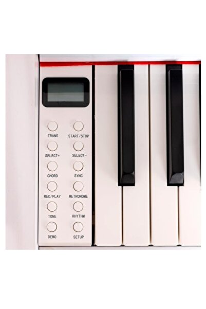 Arsenberg ADP 1983WNG Dijital Piyano Yeni Versiyon