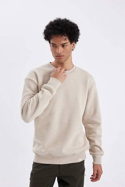 DeFacto Übergroßes, gerades, dickes Basic-Sweatshirt mit Rundhalsausschnitt T5139az24au