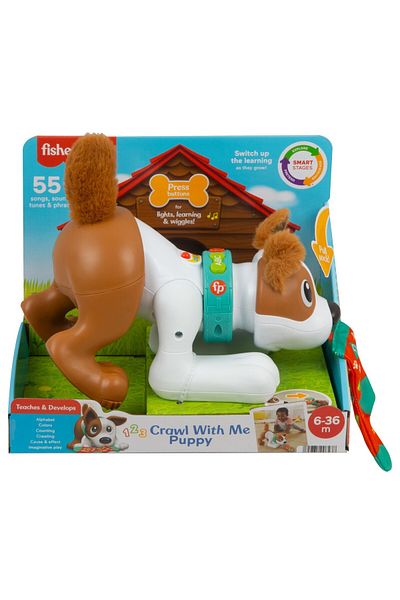 mattel Fisher Price Catelus Crawl With Me