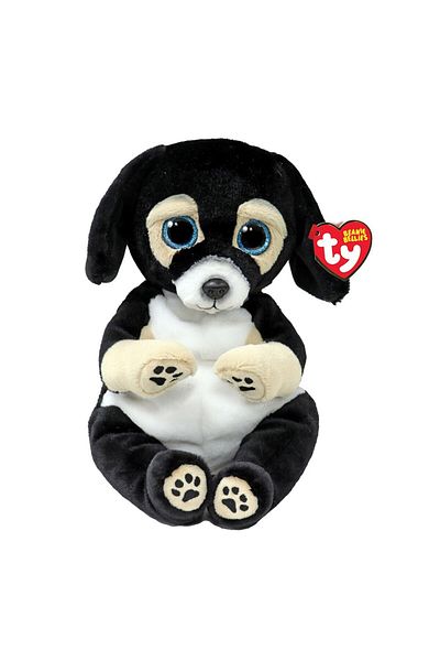 TY Plus Ty 24Cm Beanie Bellies Catelus Ranger