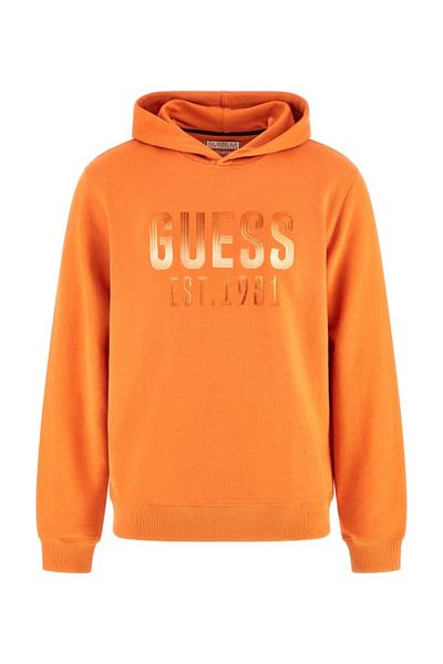 Guess Ανδρικό φούτερ Beau Hoodie