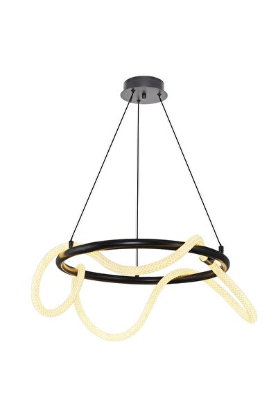 Özcan Aydınlatma 3240-2A-19 60cm Daire Hortum Avize Siyah