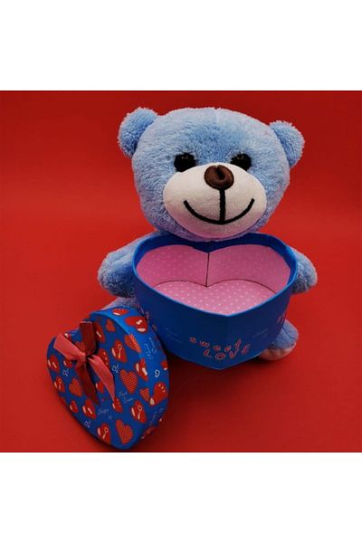 evimdeyokyok Blue Teddy Bear with Heart Box