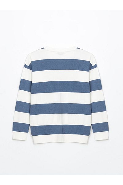 LC Waikiki Crew Neck Boy's T-Shirt