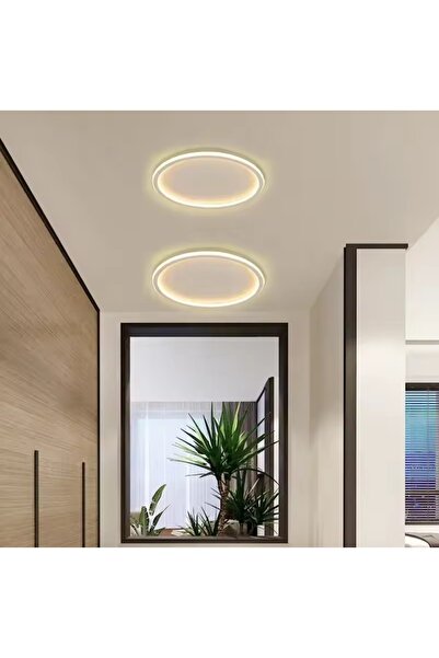 N Naturel Aydınlatma 30cm Dekoratif Led Armatür Avize / Içe Ve Dışa Işık / 3 ...