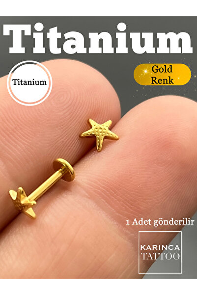 Karınca Piercing %100 Titanyum Piercing Deniz Yıldızı Forward Helix Kulak Lab...