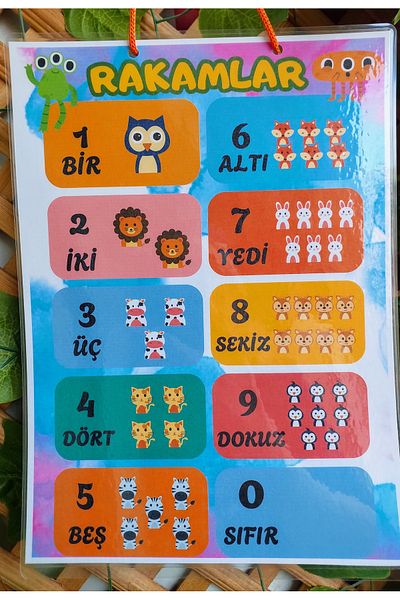 Kozalak Tasarım لافتة أرقام قطعة واحدة مطلية بالبلاستيك للمدرسة والفصول الدراسية مقاس 22*30 سم