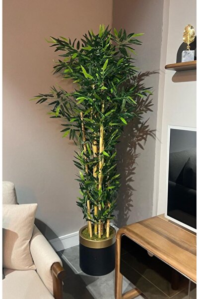 RUZGARCİCEK Rüzgar Yapay Çiçekçilik 170 cm Bambu Ağacı