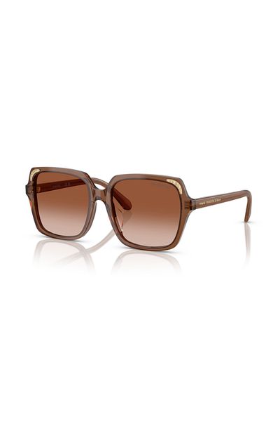 Swarovski 0SK6034D 10671356 Woman Acetate Transparent brown Square full frame for Adult