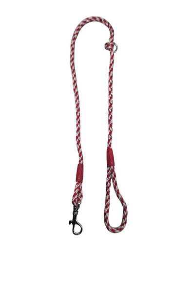 moonparacord Paracord Steel Knitted Model Dog Walking Rope