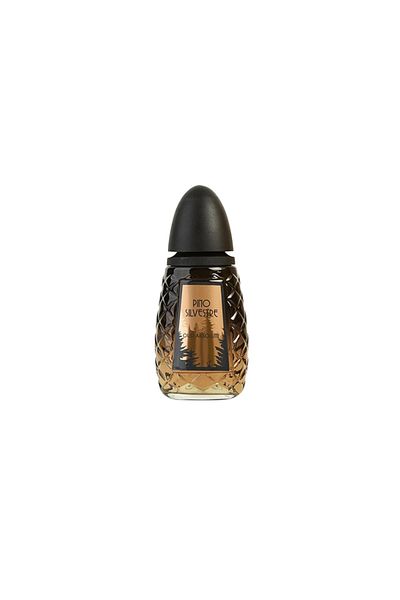 Pino Silvestre Oud Absolute Perfume by Pino Silvestre EDT 125 ml