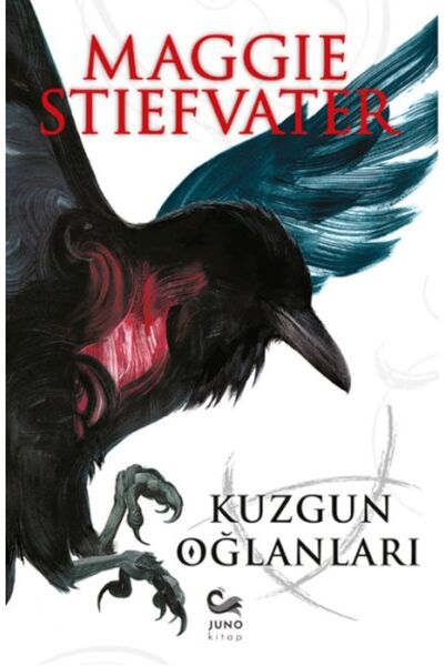 Timaş Yayınları Kuzgun Oğlanları