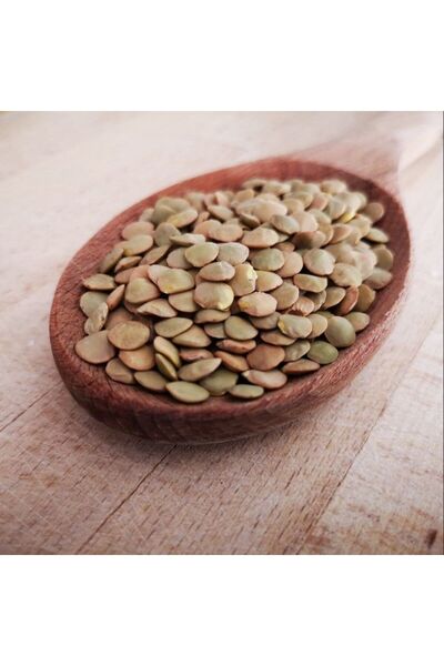 E-fidancim Ata Tohumları Geleneksel Yeşil Mercimek Tohumu (20 Tohum)