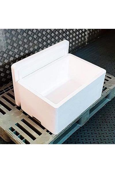 Winds Trading Ice Box Thermocol With Lid for Frozen Food & Beverage, 10KG Capacity Cooler Box