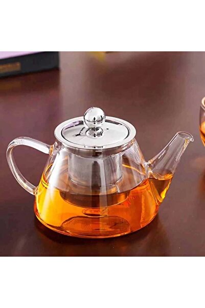 Epinox Infuser with Steel Strainer V Model (Vd-500M)