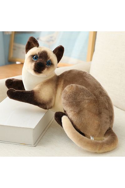 Choice siam 26cm Real-life Cute Plush Cat Doll Soft Stuffed Animal Plush Kitten Toys for Children Cartoon K