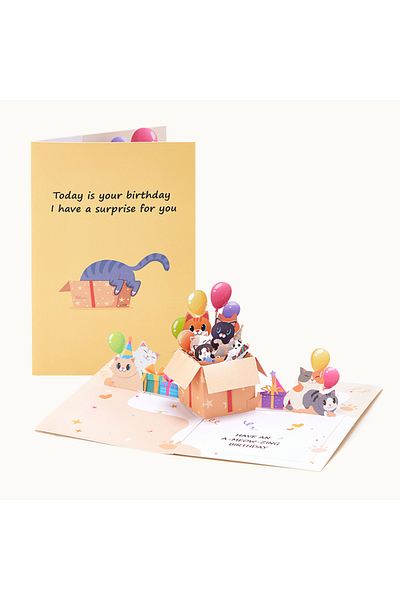 Choice AD-HZH-120 Birthday Day Greetings Card Funny Cat Double Door Pop Up 3D Card Creative Party Postcard