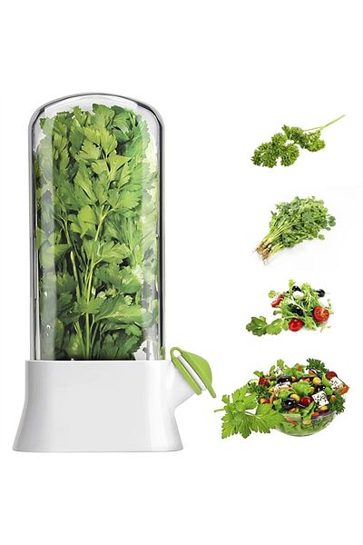 Choice L-1PC Cross-border Vanilla Vegetable Fresh-keeping Box Dust-proof Anti-pressure Environmental Protec