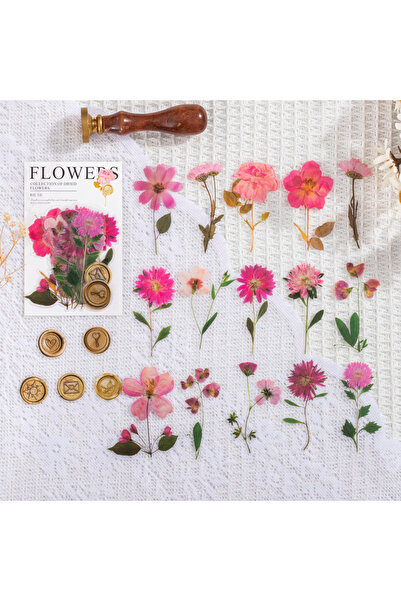 Choice6 2 40 قطعة/حزمة ملصقات عينة أوراق الزهور المجففة القديمة، إبداع جمالي،...