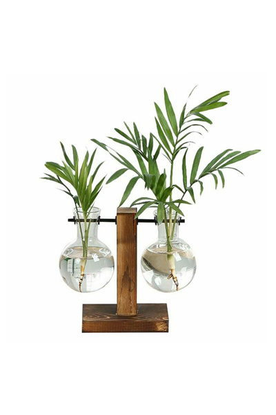 Choice مزهرية زجاجية إبداعية لسطح المكتب مع حامل خشبي وحاوية نباتات مائية ودي...