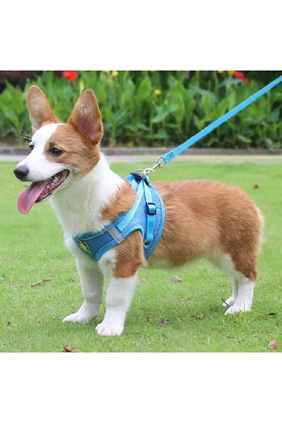 Choice Xs Blue Reflective Pet Harness And Leash Set For Dog & Cat, No Pull Dog Vest Harness With Breathable